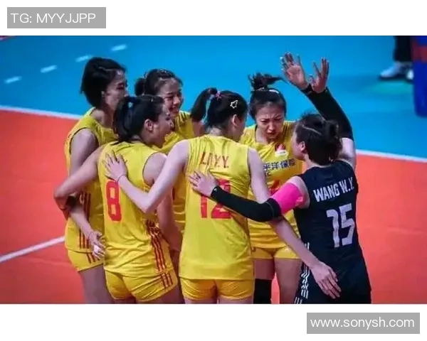 杭州排球队速度对比深度解析与战术影响探讨