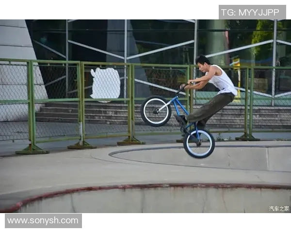 滑板文化的碰撞与融合:探秘北京滑板队的战术与技巧 滑板文化的碰撞与融合:探秘北京滑板队的战术与技巧