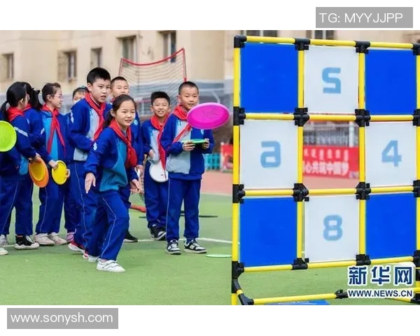 科学飞盘力量训练全攻略助你提升运动表现与身体素质