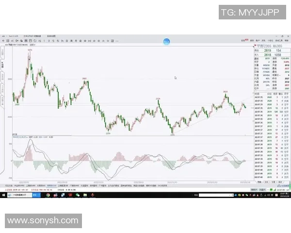美国足球明星的崛起与影响力探讨及其在全球体育中的地位 美国足球明星的崛起与影响力探讨及其在全球体育中的地位